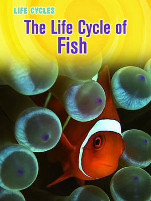 cover image of The Life Cycle of Fish